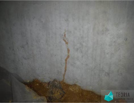 コンクリート基礎に途中まで蟻道が作られていることがわかる