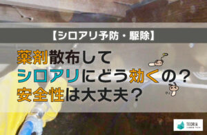 シロアリ予防・駆除で使う薬剤を散布して、シロアリにどう効くの？安全性は大丈夫？