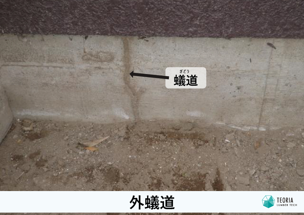 基礎のコンクリート部分にできた蟻道