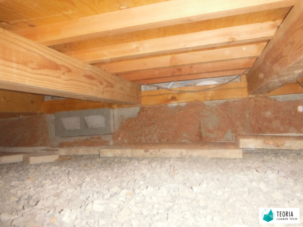 シロアリ被害により広範囲に床下の断熱材を撤去