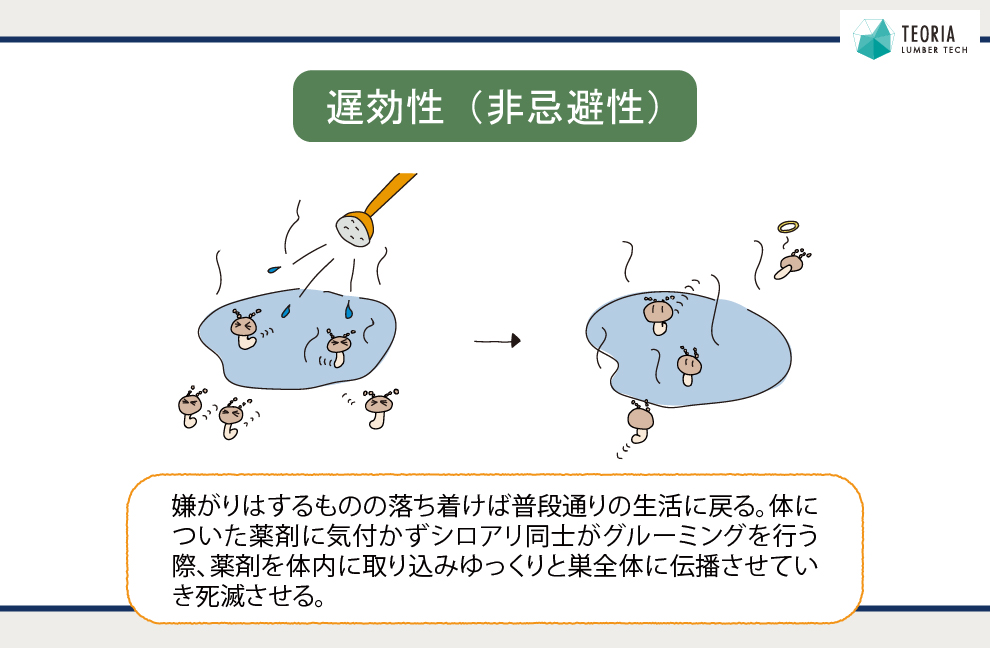 シロアリ予防や駆除で使用する非忌避性の薬剤