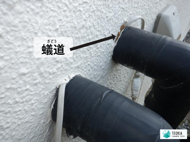 壁面から室内へ通じる給水管とその周りの断熱材の間がシロアリ侵入経路となっている
