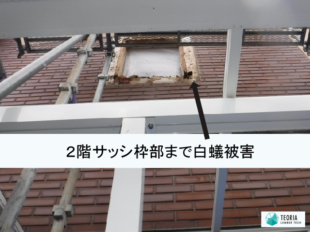 ２×４住宅で、２階サッシ枠まで白蟻被害が進行