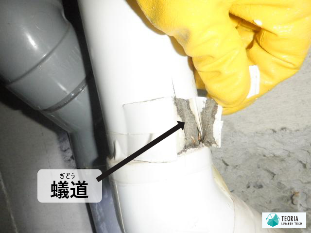 床下の配管に撒いてある断熱材の内側のシロアリ被害