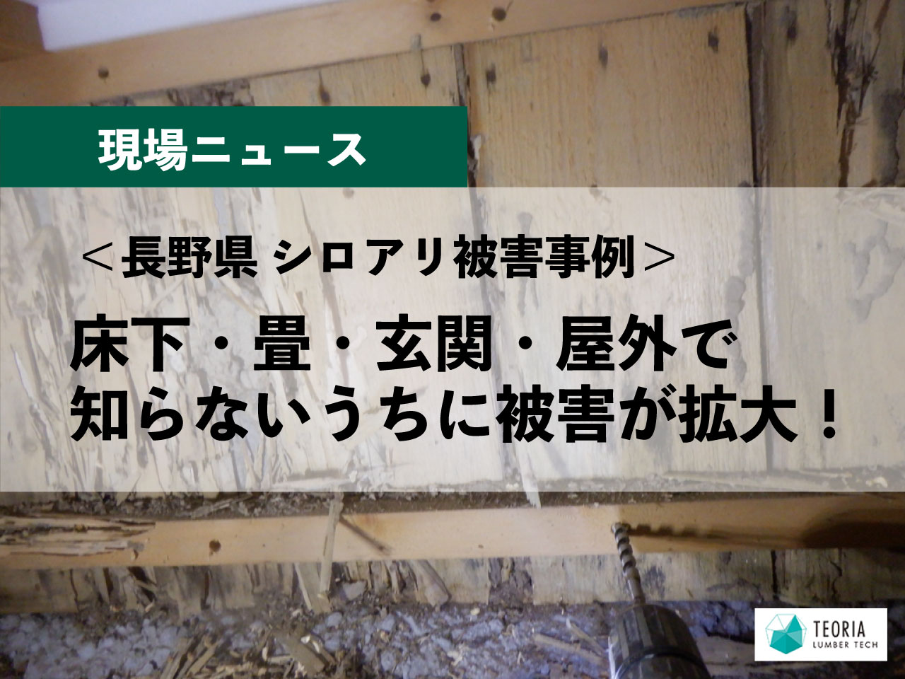 長野県【シロアリ被害事例】床下・畳・玄関・屋外で知らないうちに被害 