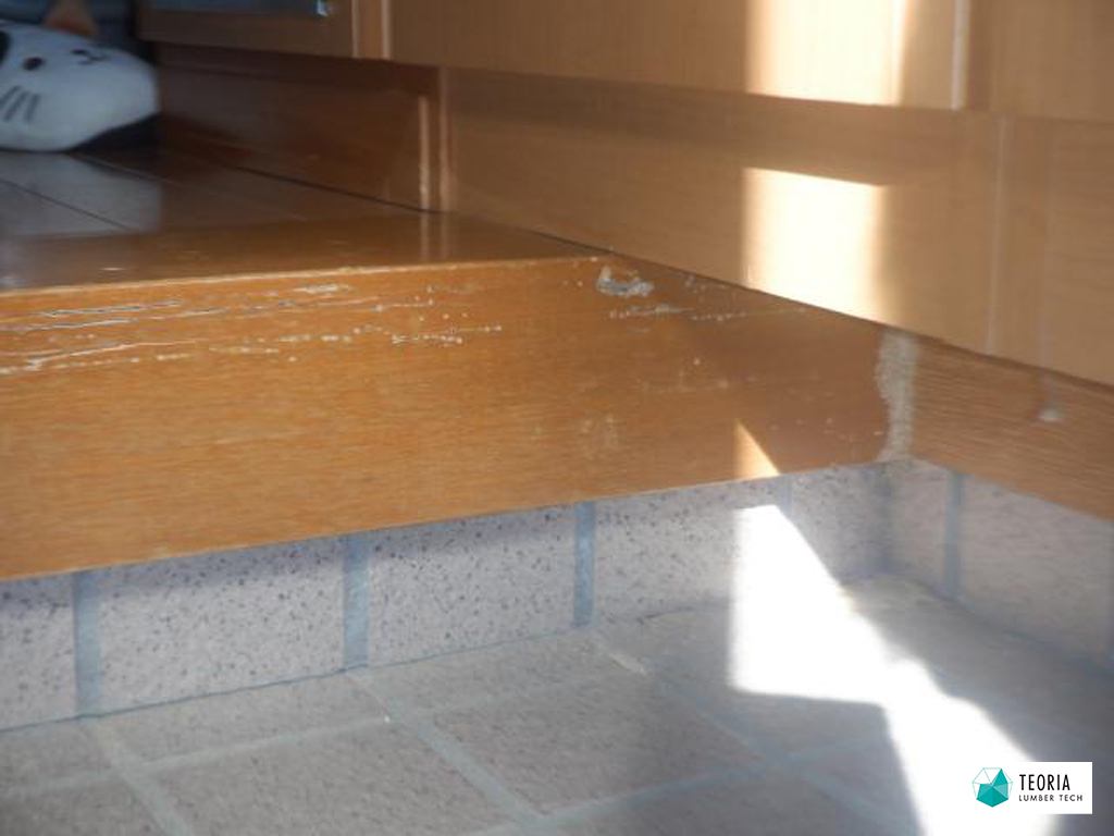 玄関のシロアリ被害の様子。框が喰われている