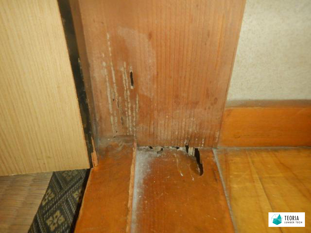 床上から確認できるシロアリ被害