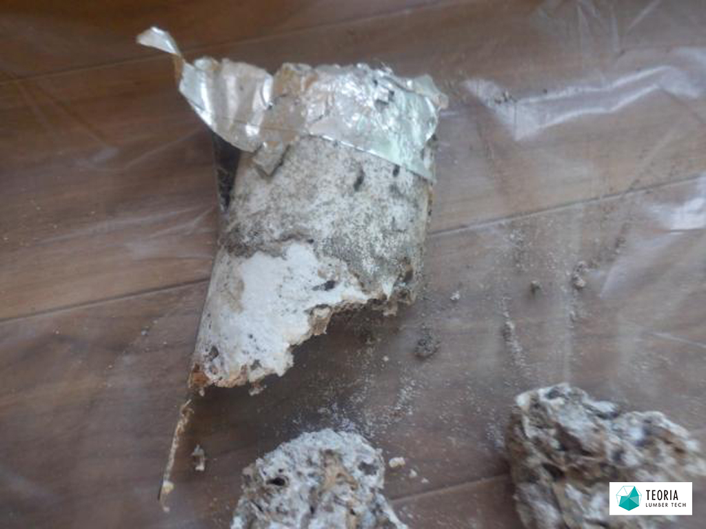 被覆管にもシロアリ侵入の痕跡