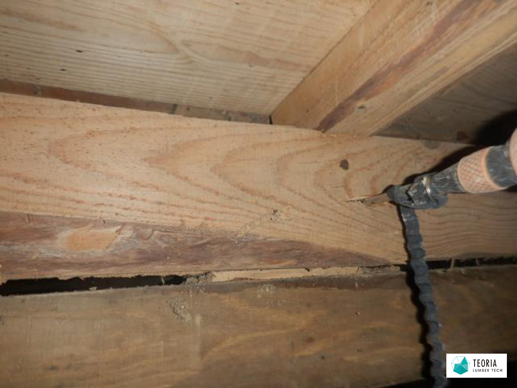 シロアリ被害でスカスカになった木材