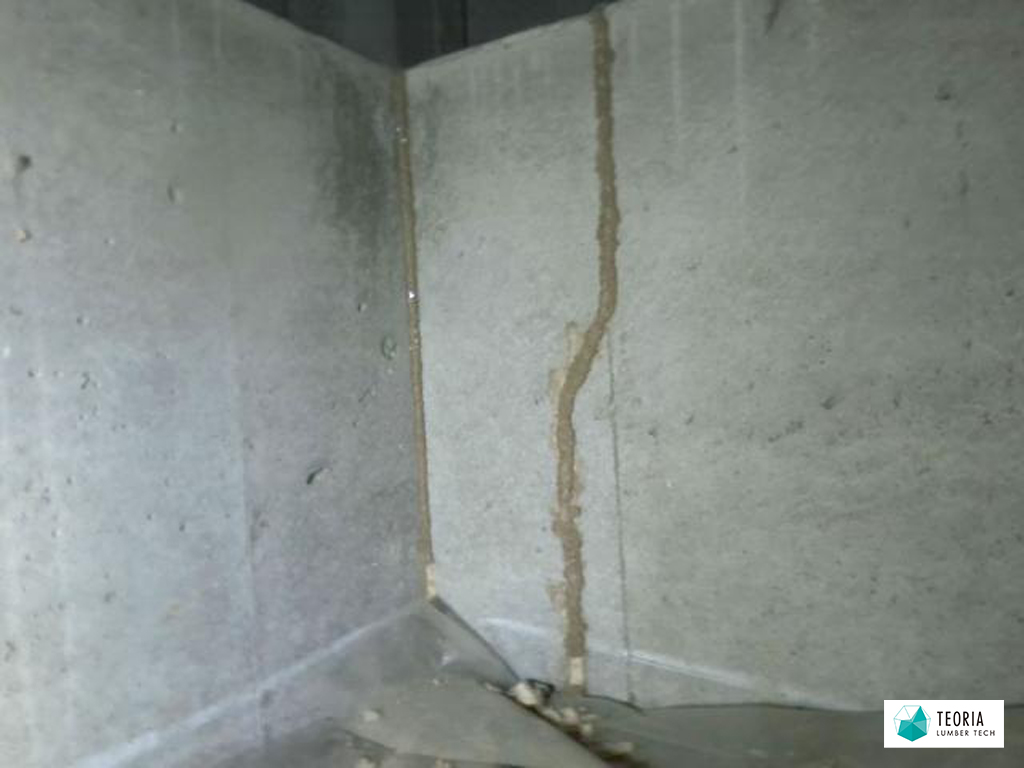 床下の基礎にできたシロアリの蟻道