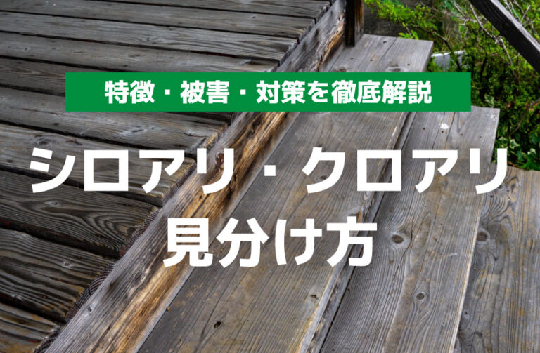 執筆者 藤森 淳 しろあり防除施工士/蟻害腐朽検査員