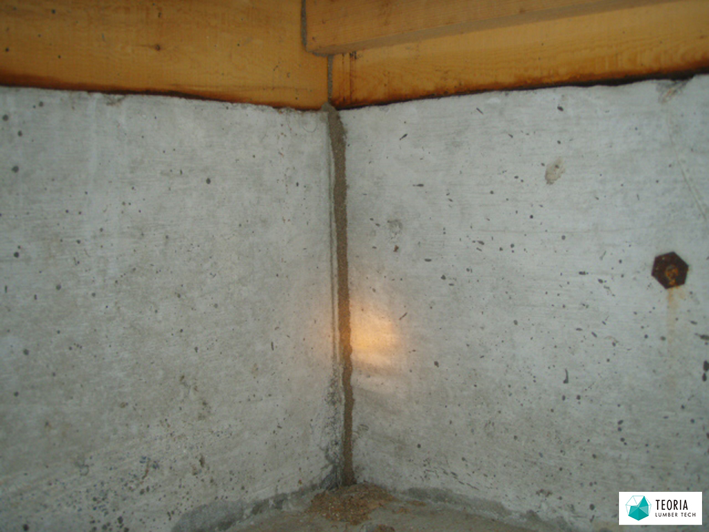 築8年の住宅に作られた蟻道