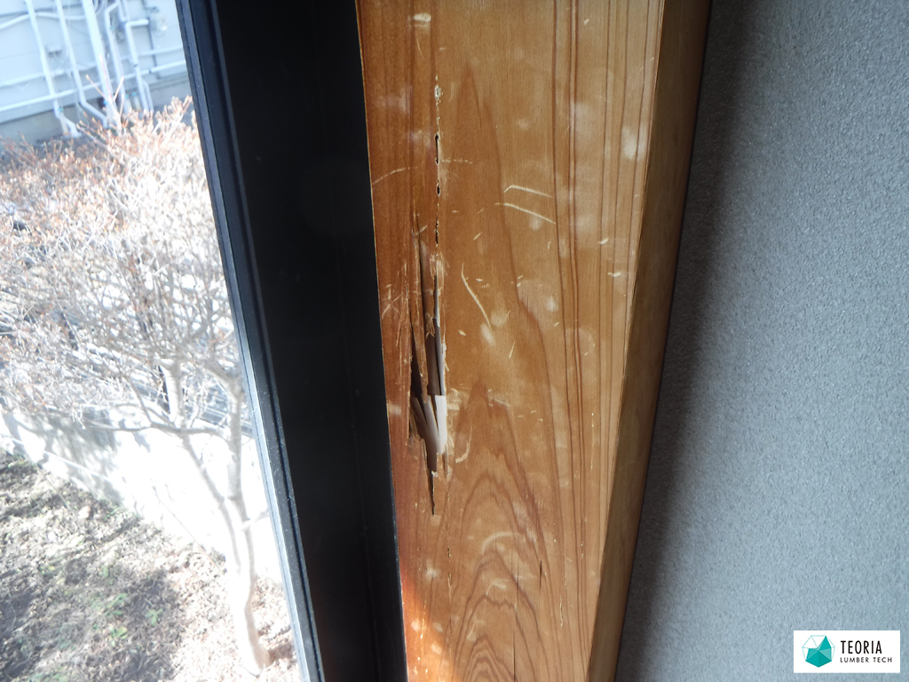 ＜鉄骨造の住宅でのシロアリ被害＞和室の化粧柱がシロアリに喰われ穴があいている