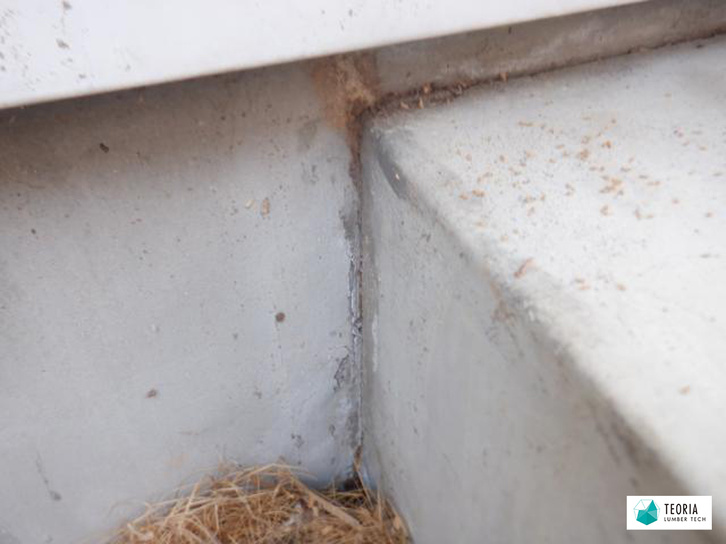 基礎の外側から蟻道を作りシロアリが侵入、被害に遭った事例