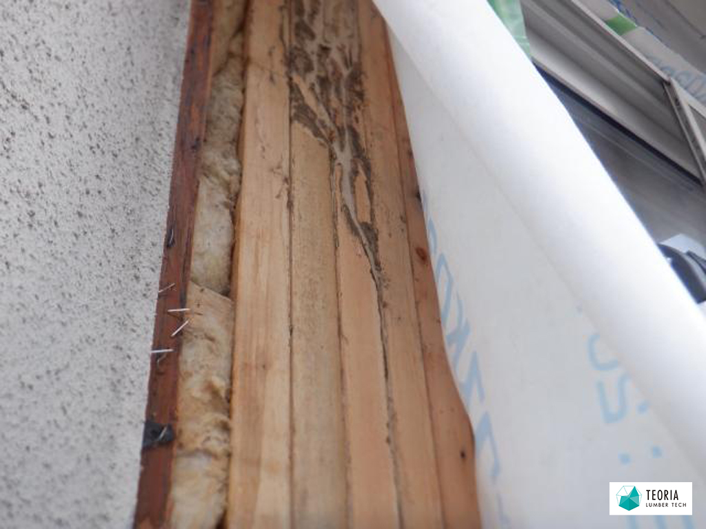 築30年、シロアリ点検未実施の住宅の被害を外壁を剥がして確認