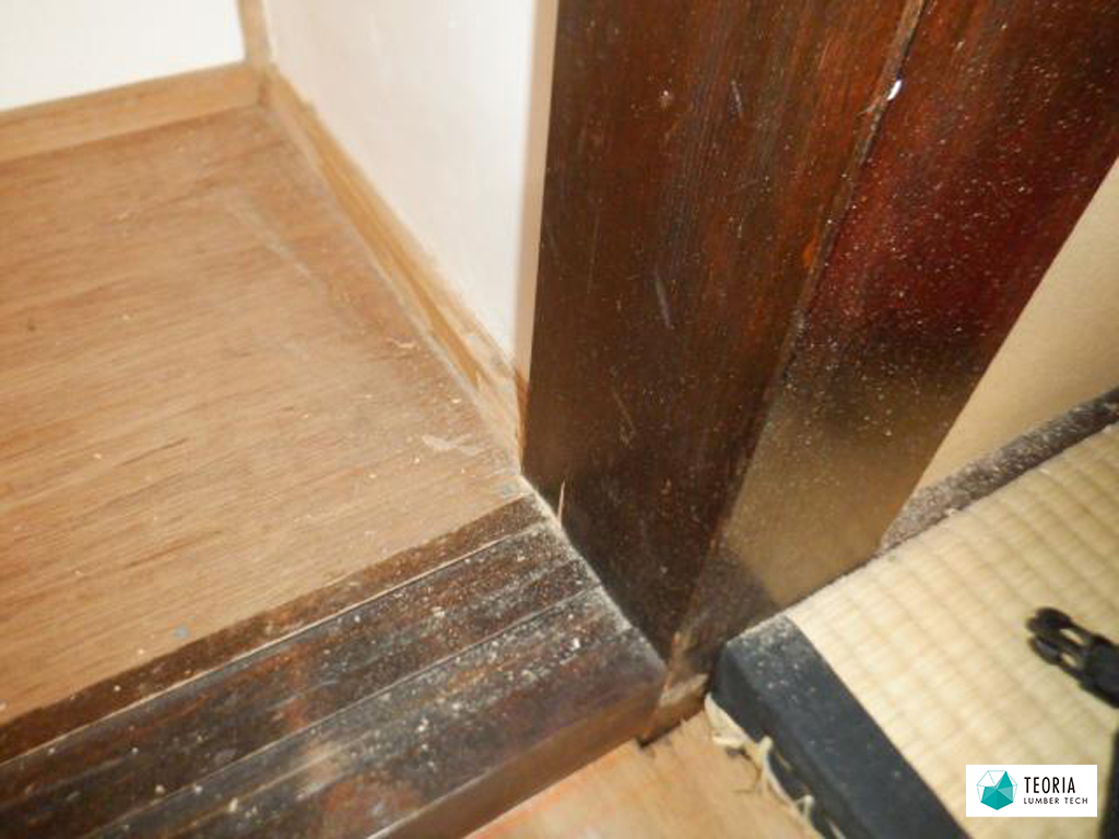 和室の柱と敷居のシロアリ被害