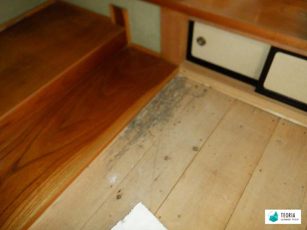 畳替えで畳を剥がしたところ、シロアリ被害を発見