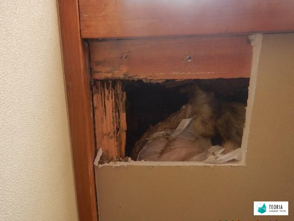 壁を剥がしてみると2階までシロアリ被害が到達