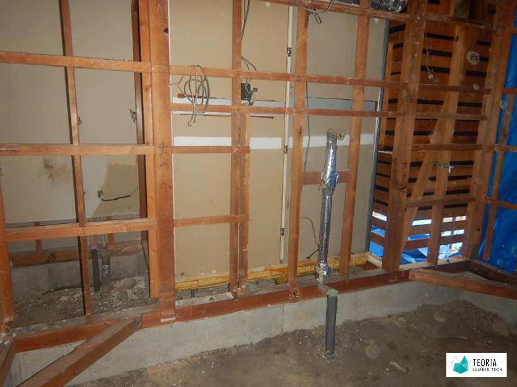 ヤマトシロアリの被害により壁や床を剥がし大規模な修繕工事をする様子