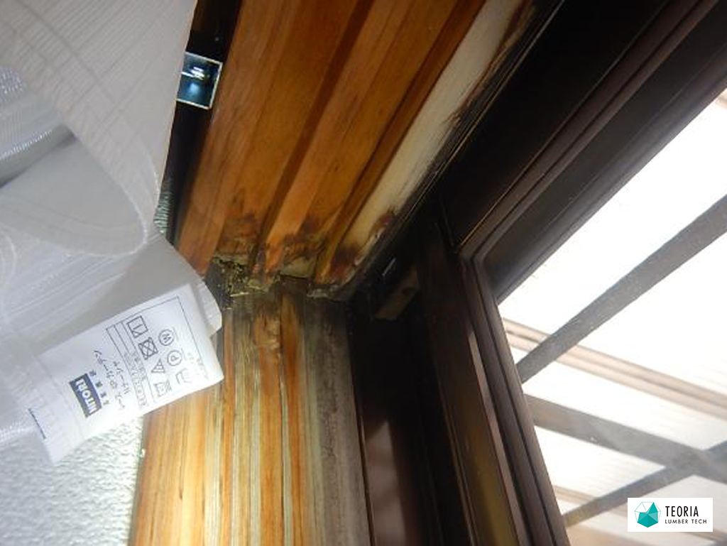 1階の窓上部にまでシロアリ被害が及んでいる