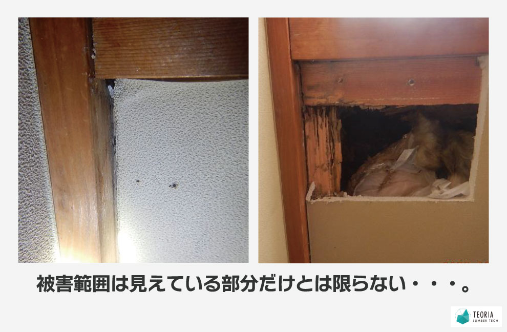 被害範囲は見えている箇所だけとは限らない
